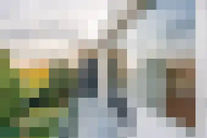 Van Brakellaan 23 Hilversum thumbnail 11
