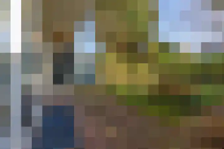 Van Brakellaan 37 Hilversum thumbnail 16