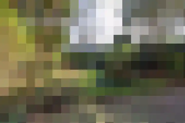 Van Brakellaan 37 Hilversum thumbnail 17
