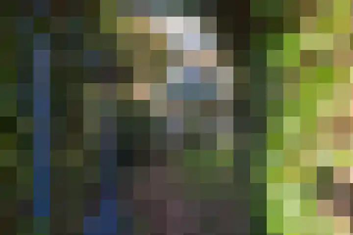 Van Brakellaan 37 Hilversum thumbnail 19