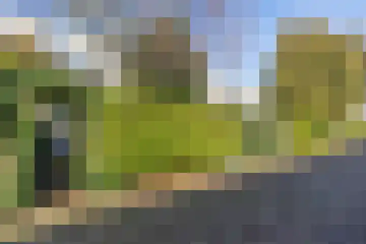 Van Brakellaan 37 Hilversum thumbnail 20