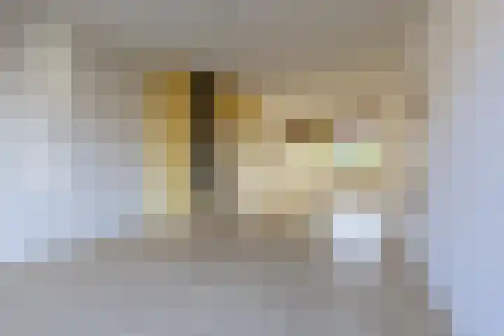 Van Brakellaan 37 Hilversum thumbnail 7