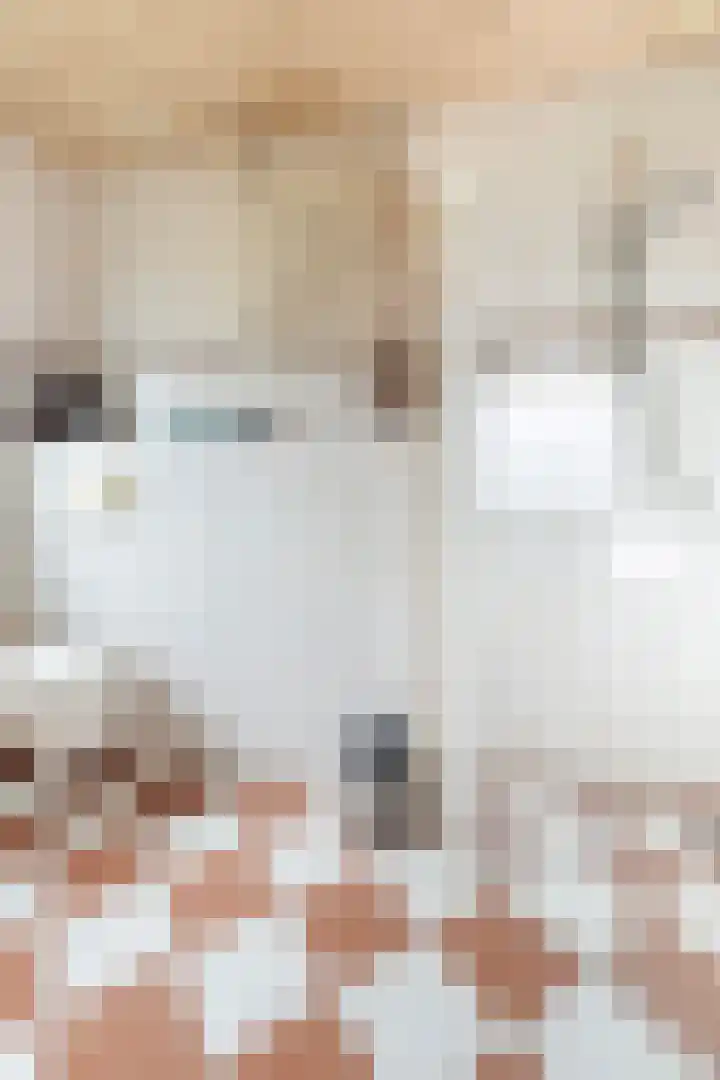 Van Brakellaan 4 Doesburg thumbnail 10