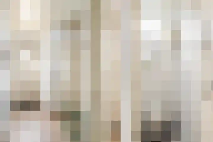 Van Brakellaan 4 Doesburg thumbnail 12