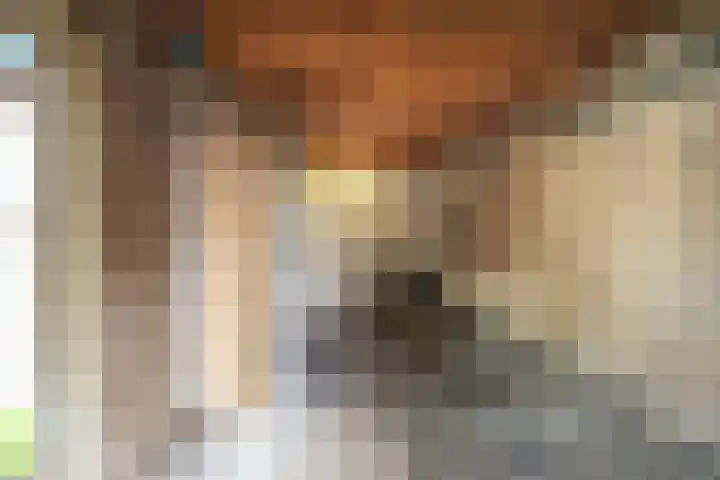 Van Brakellaan 4 Doesburg thumbnail 14