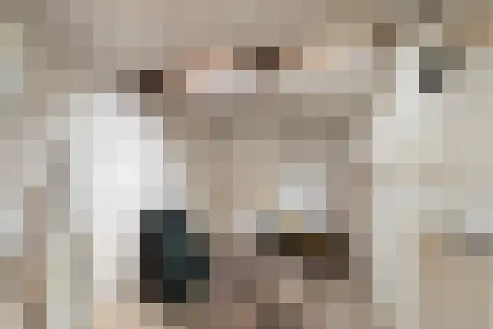 Van Brakellaan 4 Doesburg thumbnail 16