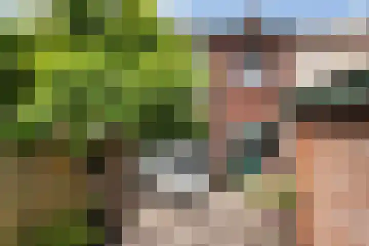 Van Brakellaan 4 Doesburg thumbnail 20