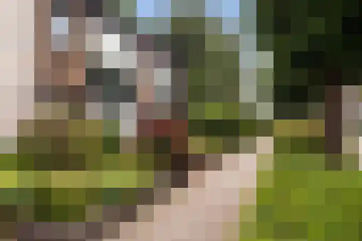 Van Brakellaan 4 Doesburg thumbnail 21