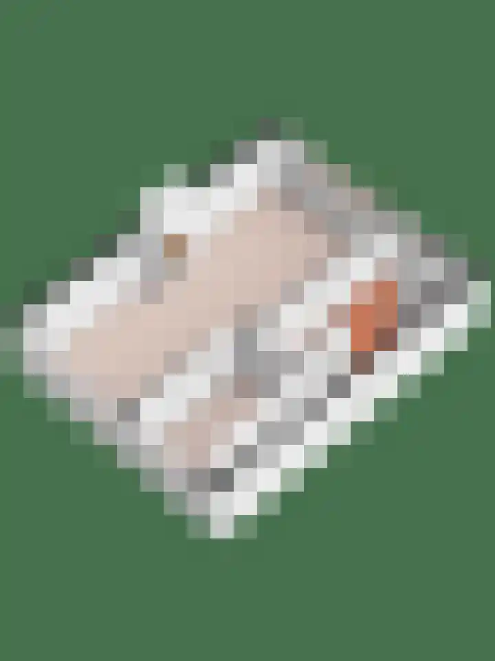 Van Brakellaan 4 Doesburg thumbnail 25