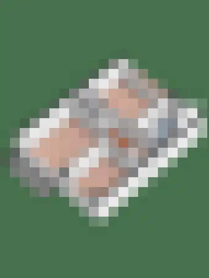 Van Brakellaan 4 Doesburg thumbnail 27