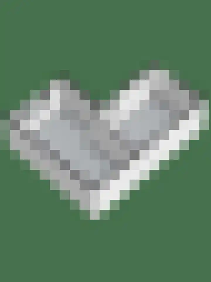 Van Brakellaan 4 Doesburg thumbnail 31