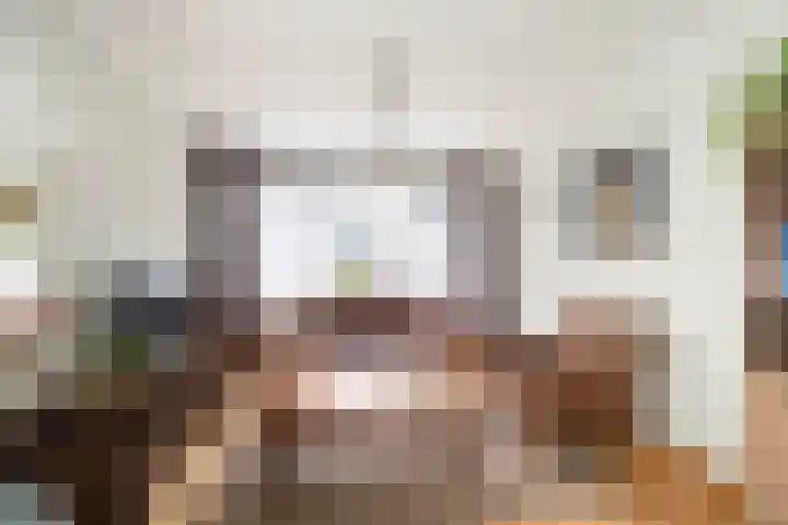 Van Brakellaan 4 Doesburg thumbnail 4
