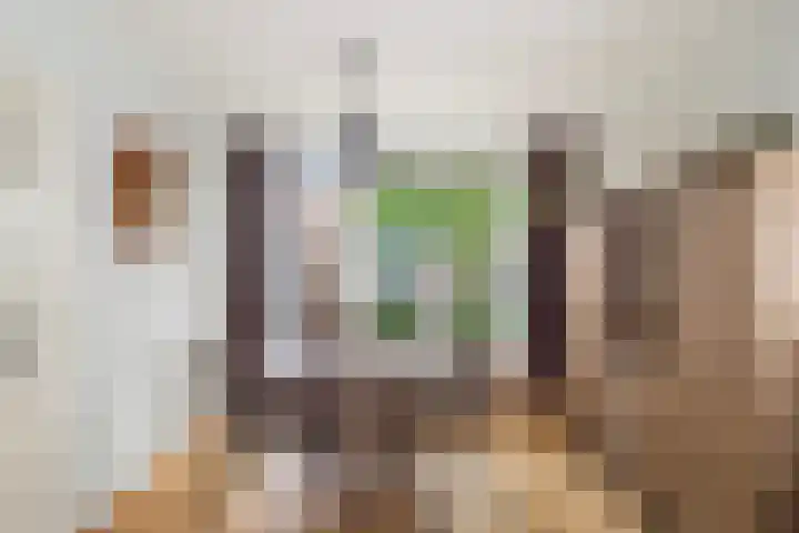 Van Brakellaan 4 Doesburg thumbnail 5
