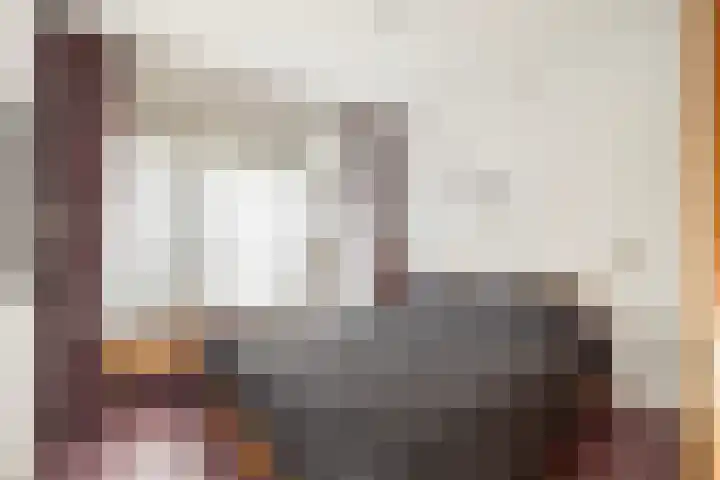 Van Brakellaan 4 Doesburg thumbnail 8