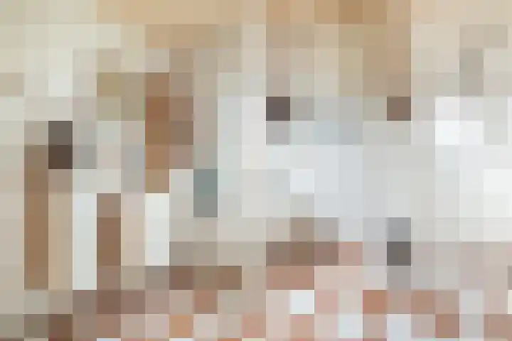Van Brakellaan 4 Doesburg thumbnail 9