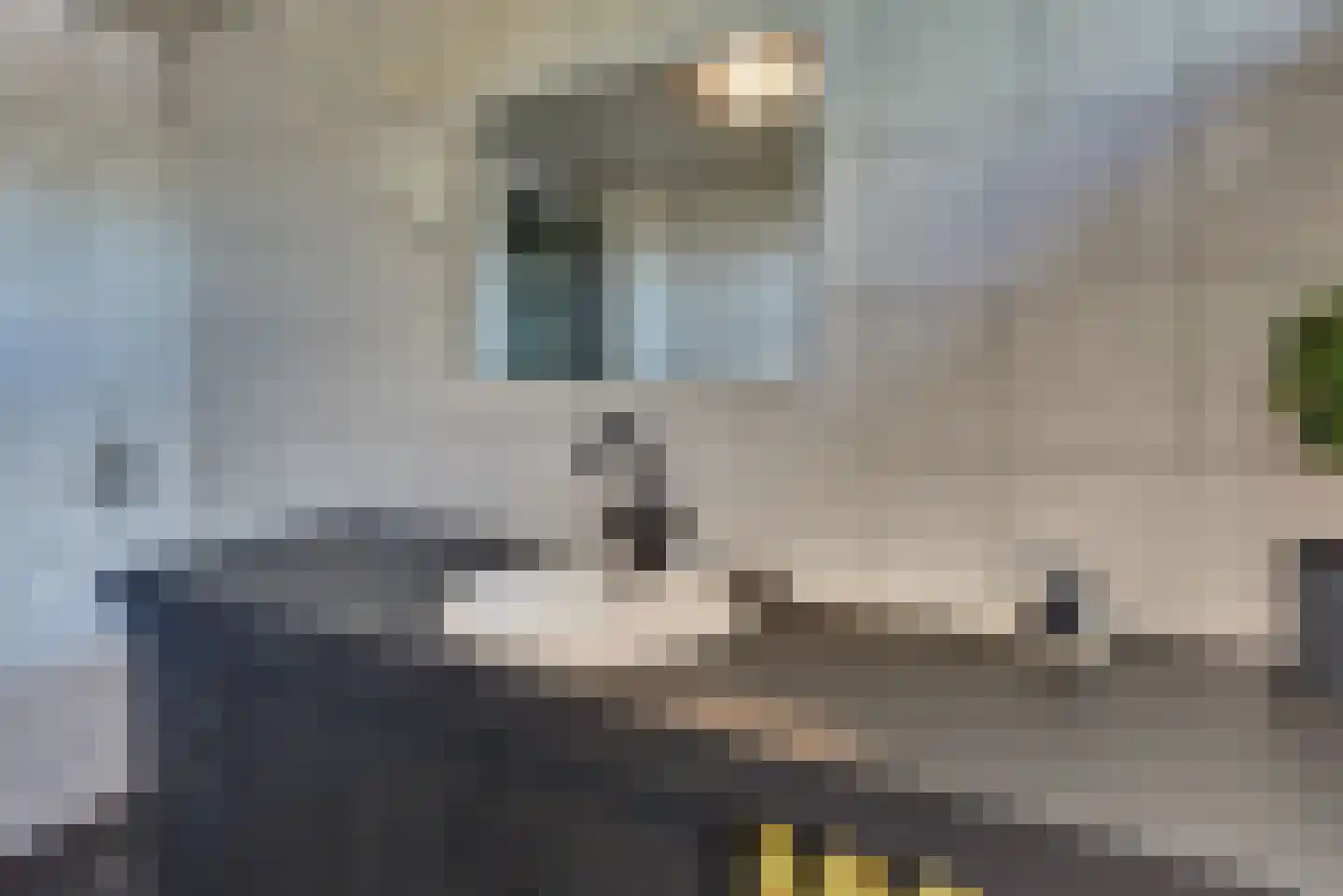 Van Brakellaan 42 Harderwijk thumbnail 25