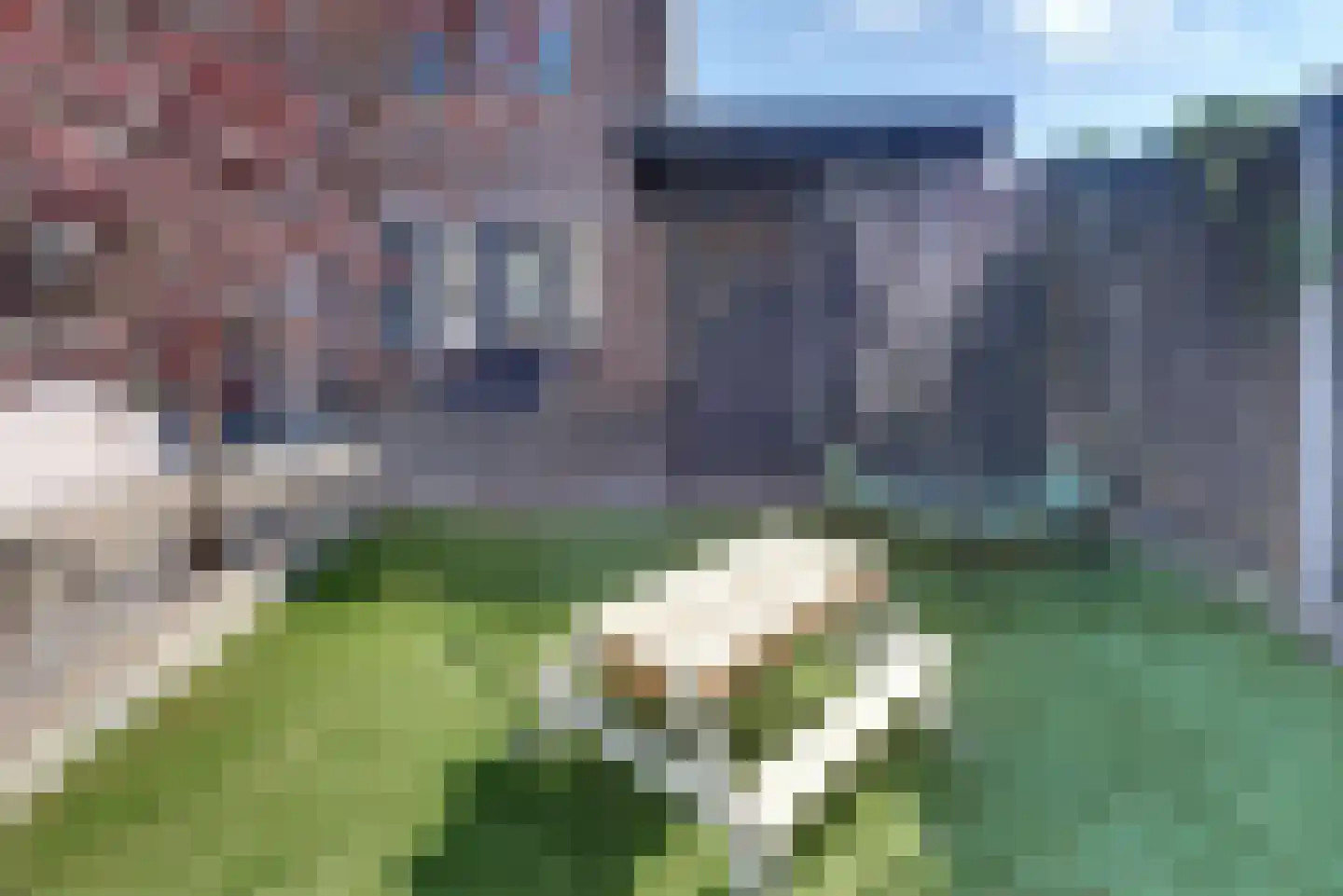 Van Brakellaan 42 Harderwijk thumbnail 40