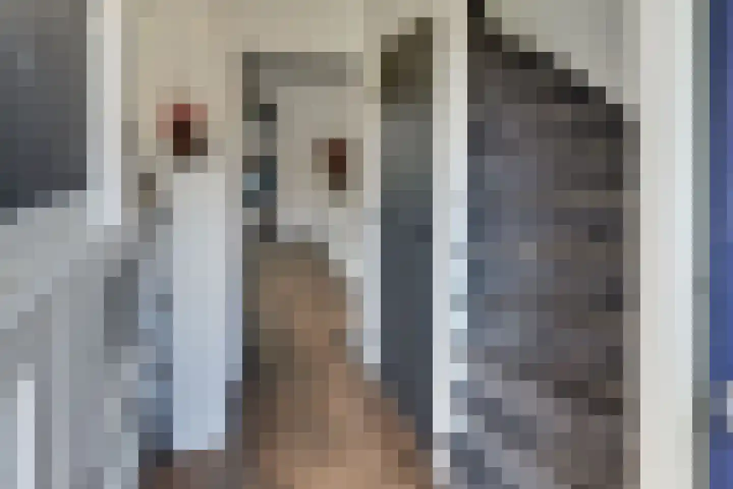 Van Brakellaan 42 Harderwijk thumbnail 5