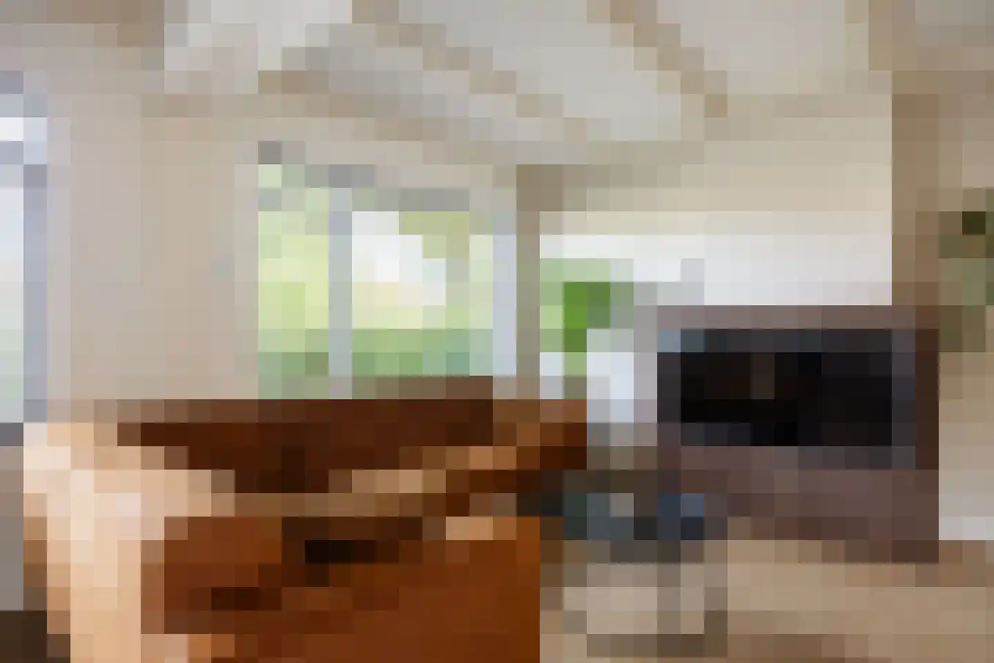 Van Brakelplein 19 Groningen thumbnail 18