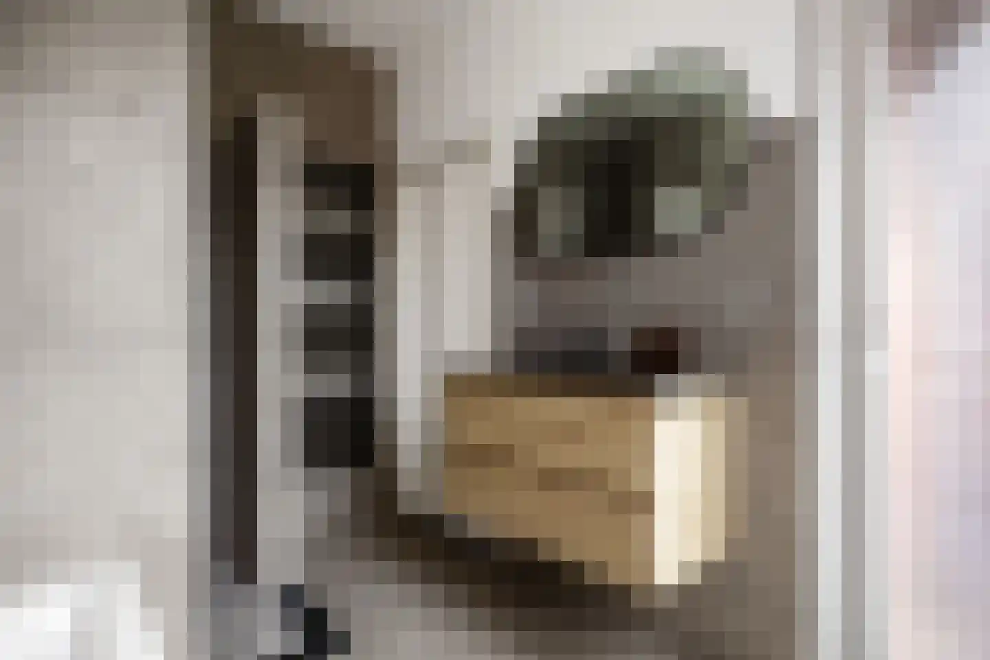 Van Brakelplein 19 Groningen thumbnail 33
