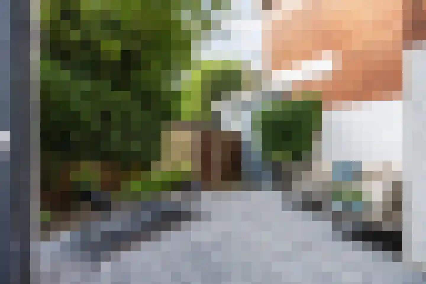 Van Brakelplein 19 Groningen thumbnail 35