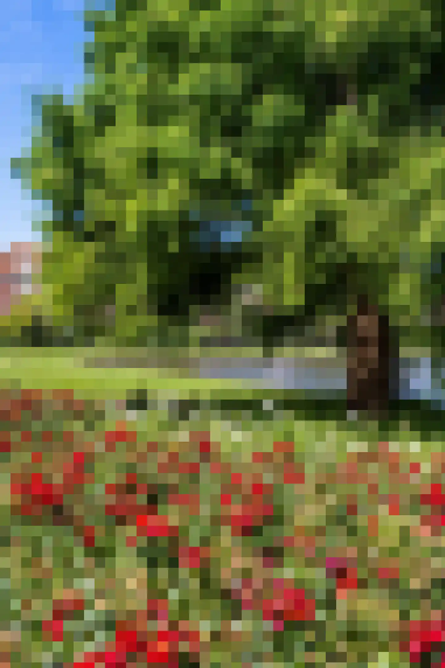 Van Brakelplein 19 Groningen thumbnail 43
