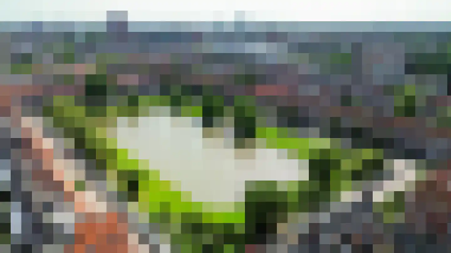 Van Brakelplein 19 Groningen thumbnail 45
