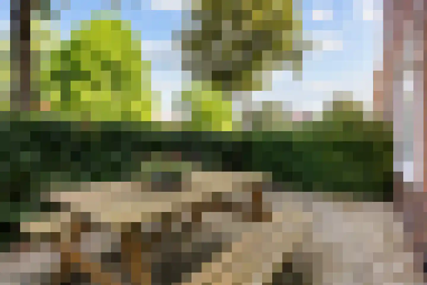 Van Brakelplein 19 Groningen thumbnail 6