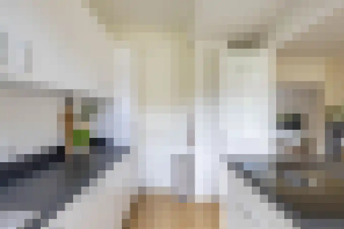 Van Brakelplein 2 Groningen thumbnail 17