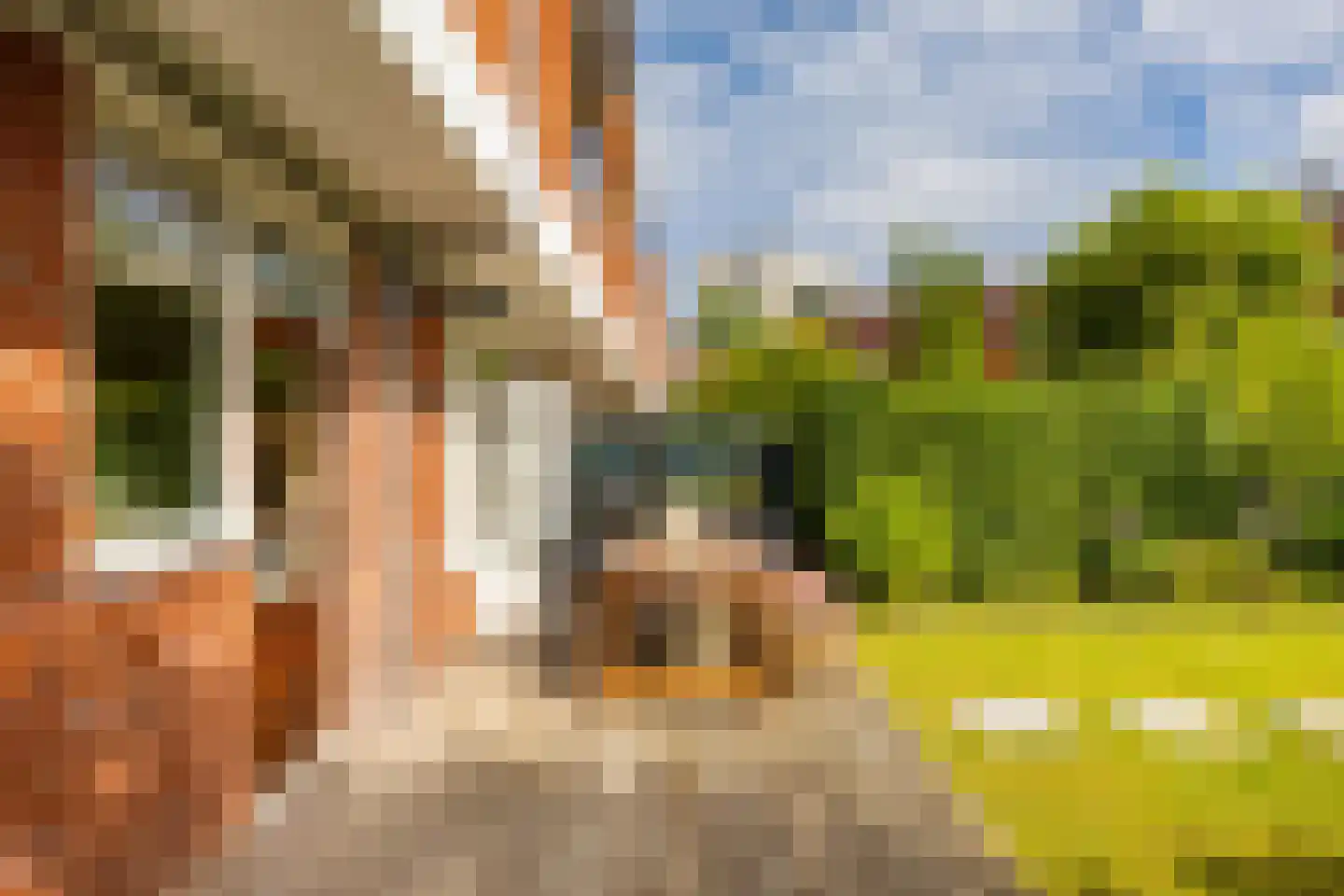 Van Brakelplein 2 Groningen thumbnail 20