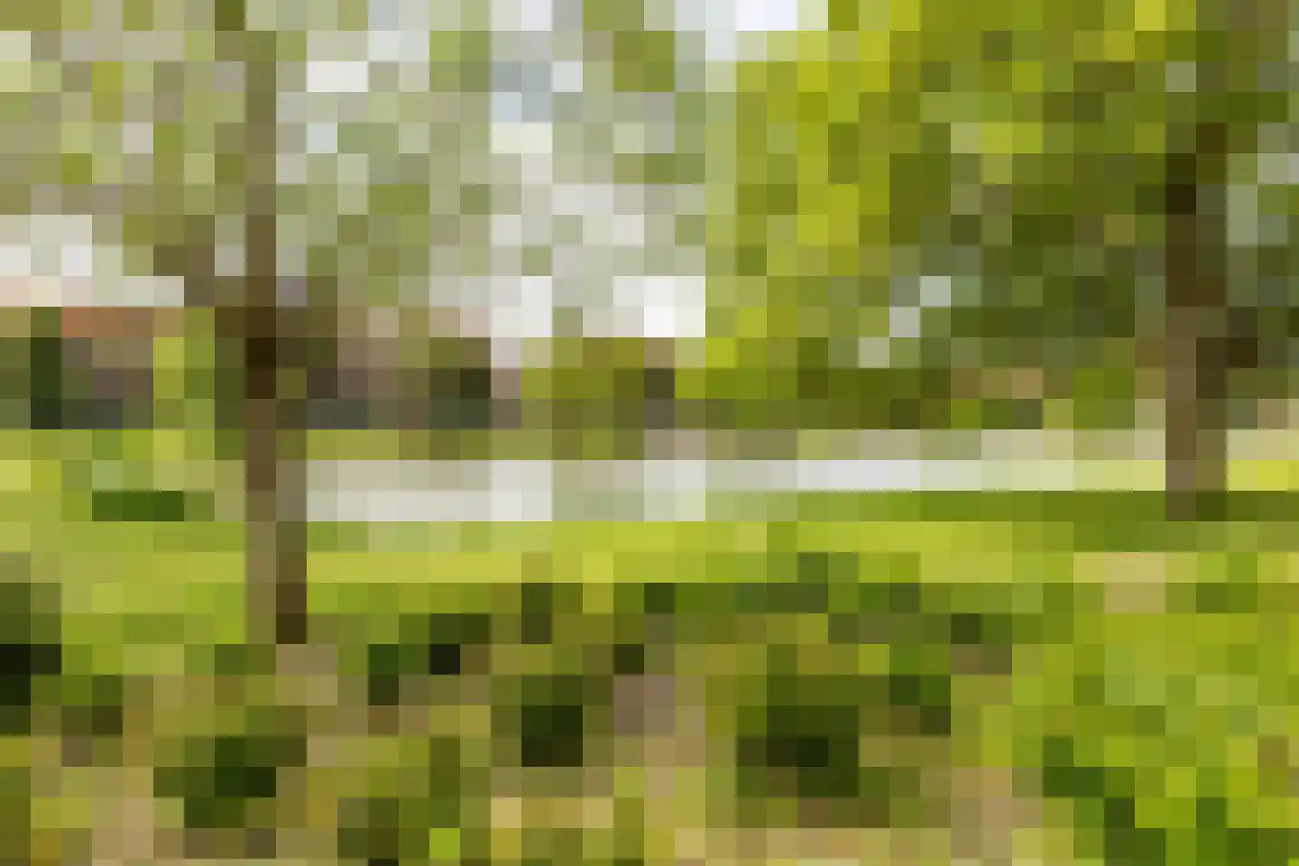 Van Brakelplein 2 Groningen thumbnail 4