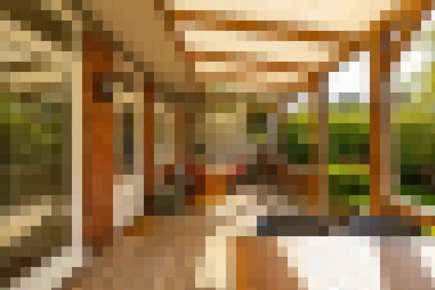 Van Brakelplein 24 Groningen thumbnail 18
