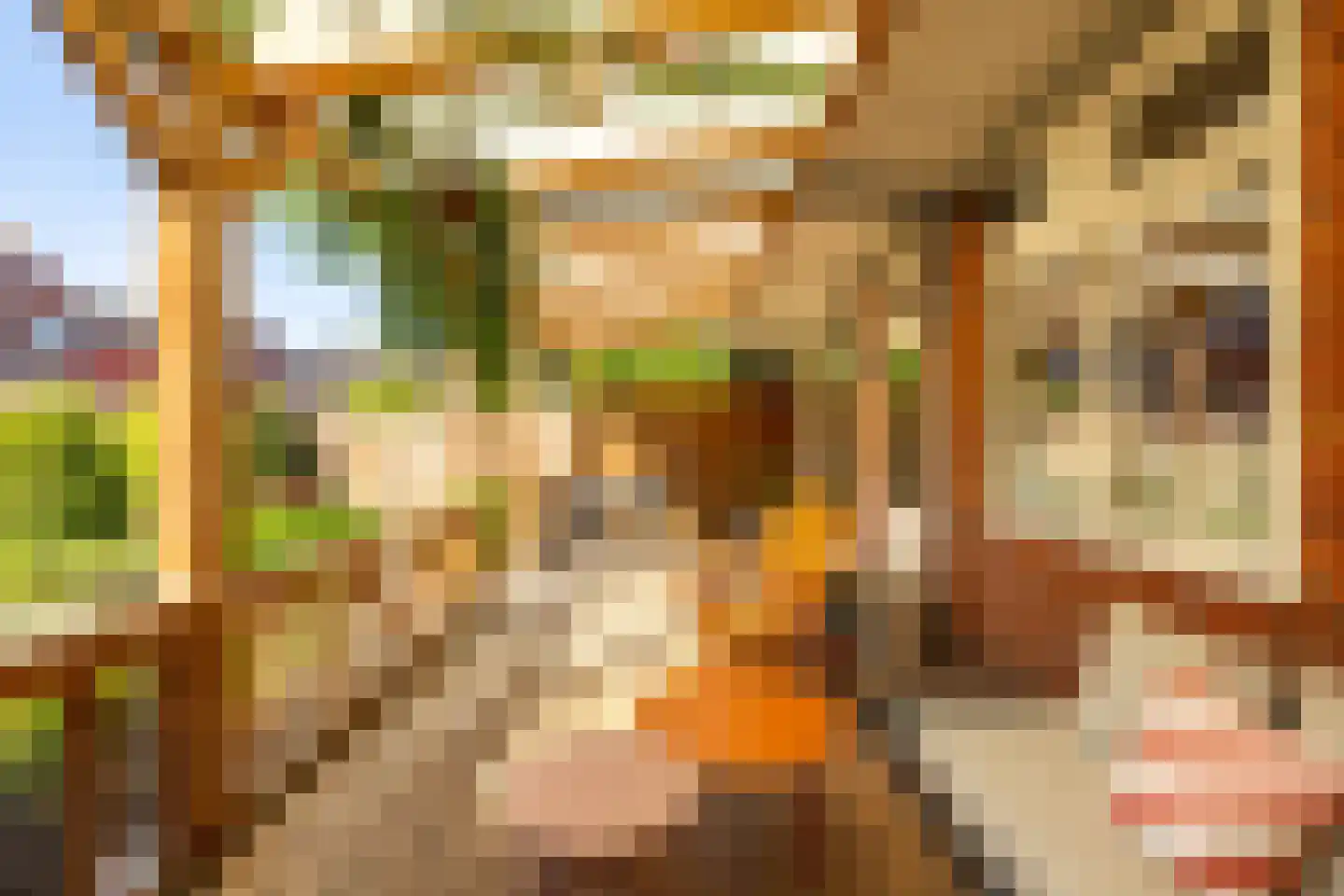 Van Brakelplein 24 Groningen thumbnail 19