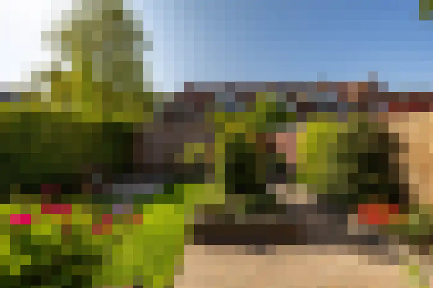 Van Brakelplein 24 Groningen thumbnail 23