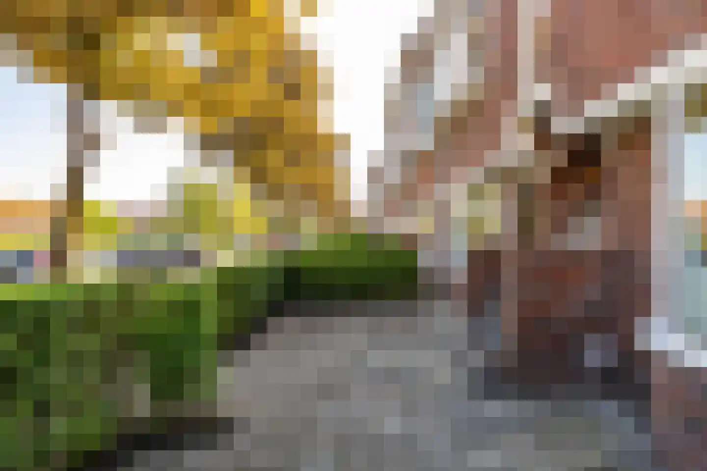 Van Brakelplein 24 Groningen thumbnail 39