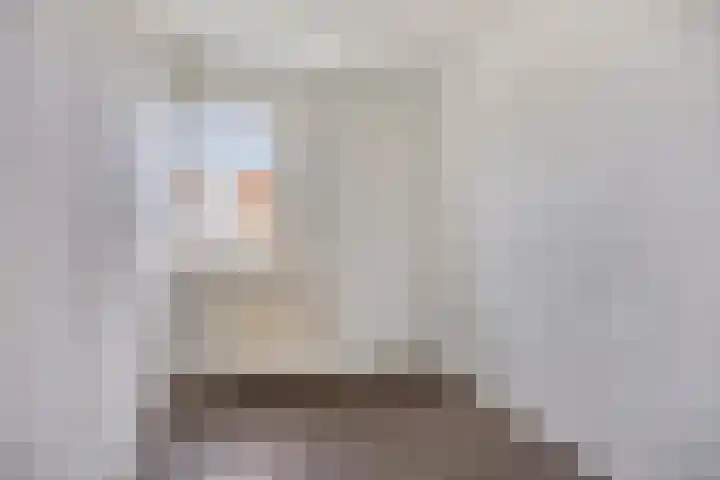 van Brakelstraat 10 Veghel thumbnail 20