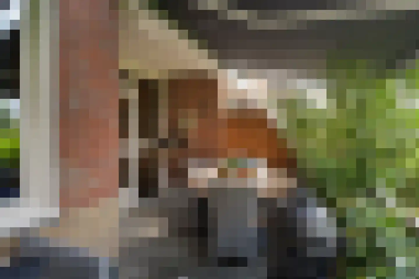 Van Brakelstraat 10 Zoetermeer thumbnail 25