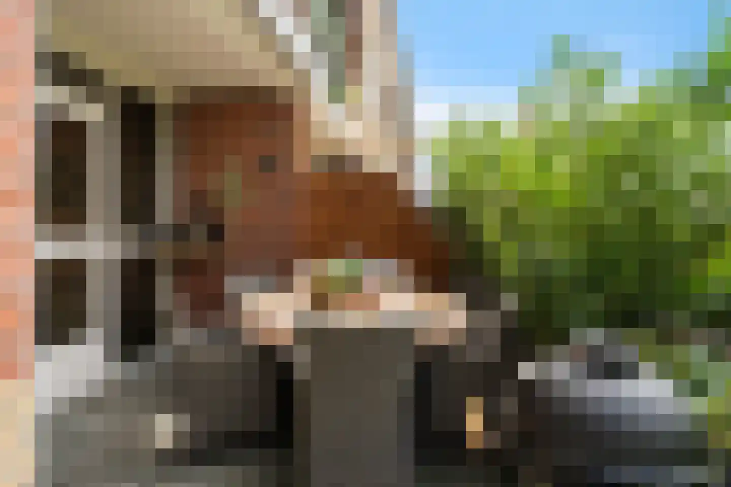 Van Brakelstraat 10 Zoetermeer thumbnail 29