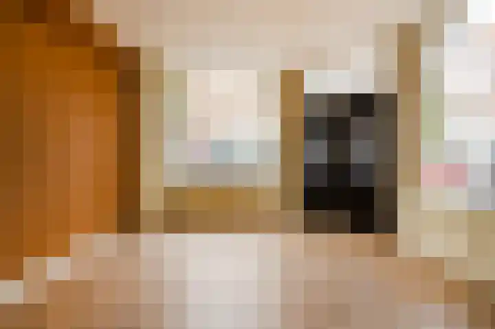 Van Brakelstraat 108 Den Haag thumbnail 7
