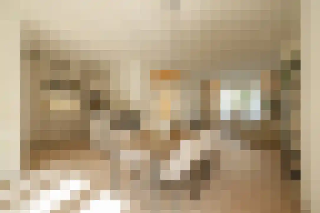 Van Brakelstraat 11 Utrecht thumbnail 15