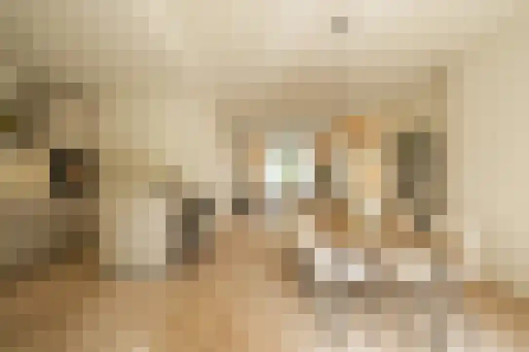 Van Brakelstraat 11 Utrecht thumbnail 16