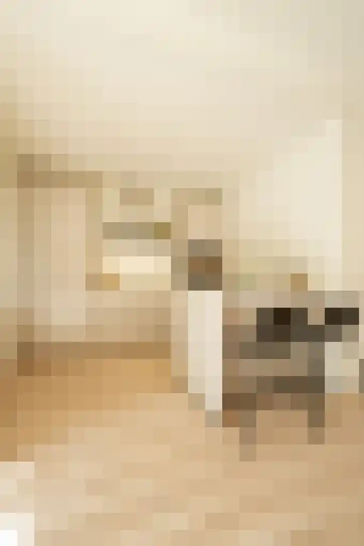 Van Brakelstraat 11 Utrecht thumbnail 18