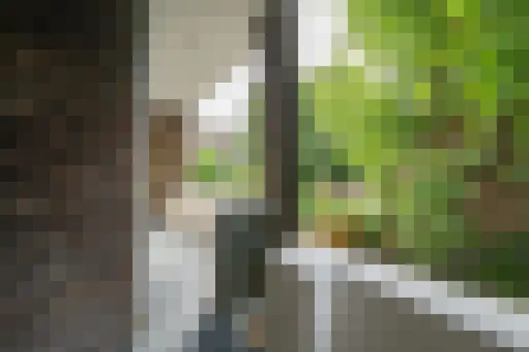 Van Brakelstraat 11 Utrecht thumbnail 28