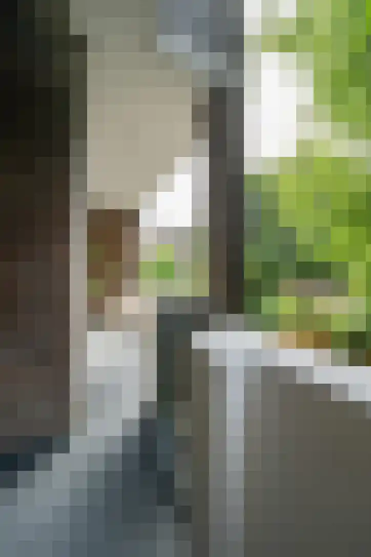 Van Brakelstraat 11 Utrecht thumbnail 29