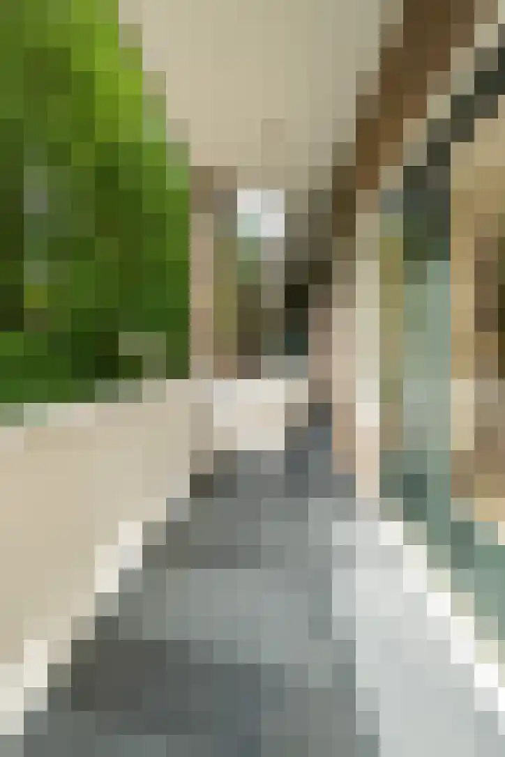 Van Brakelstraat 11 Utrecht thumbnail 31