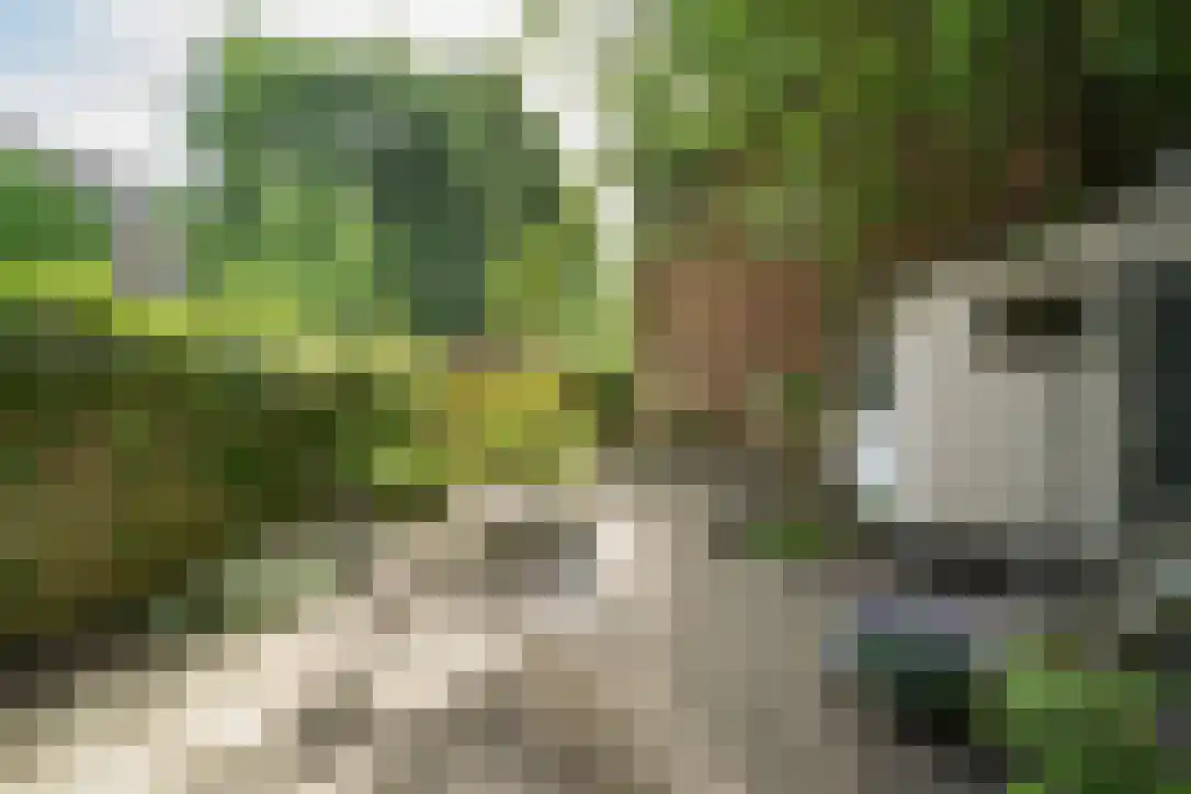 Van Brakelstraat 11 Utrecht thumbnail 34