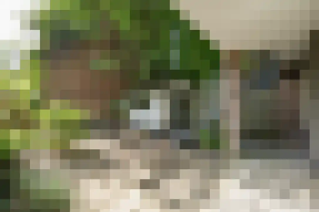 Van Brakelstraat 11 Utrecht thumbnail 35