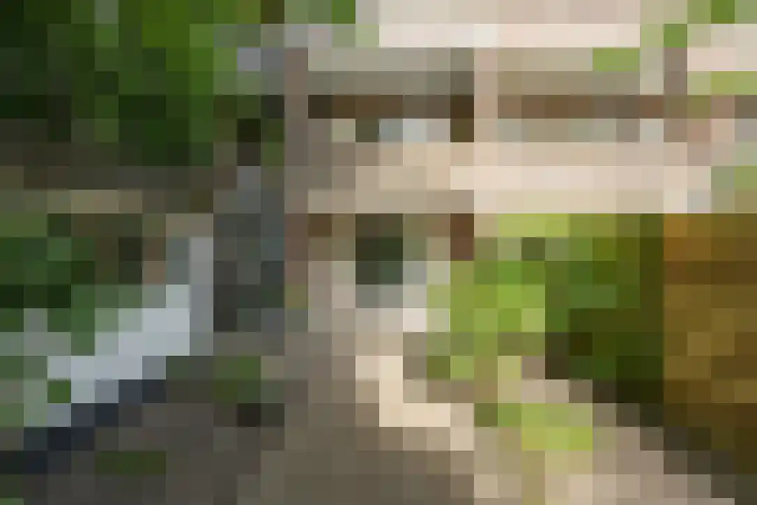 Van Brakelstraat 11 Utrecht thumbnail 37