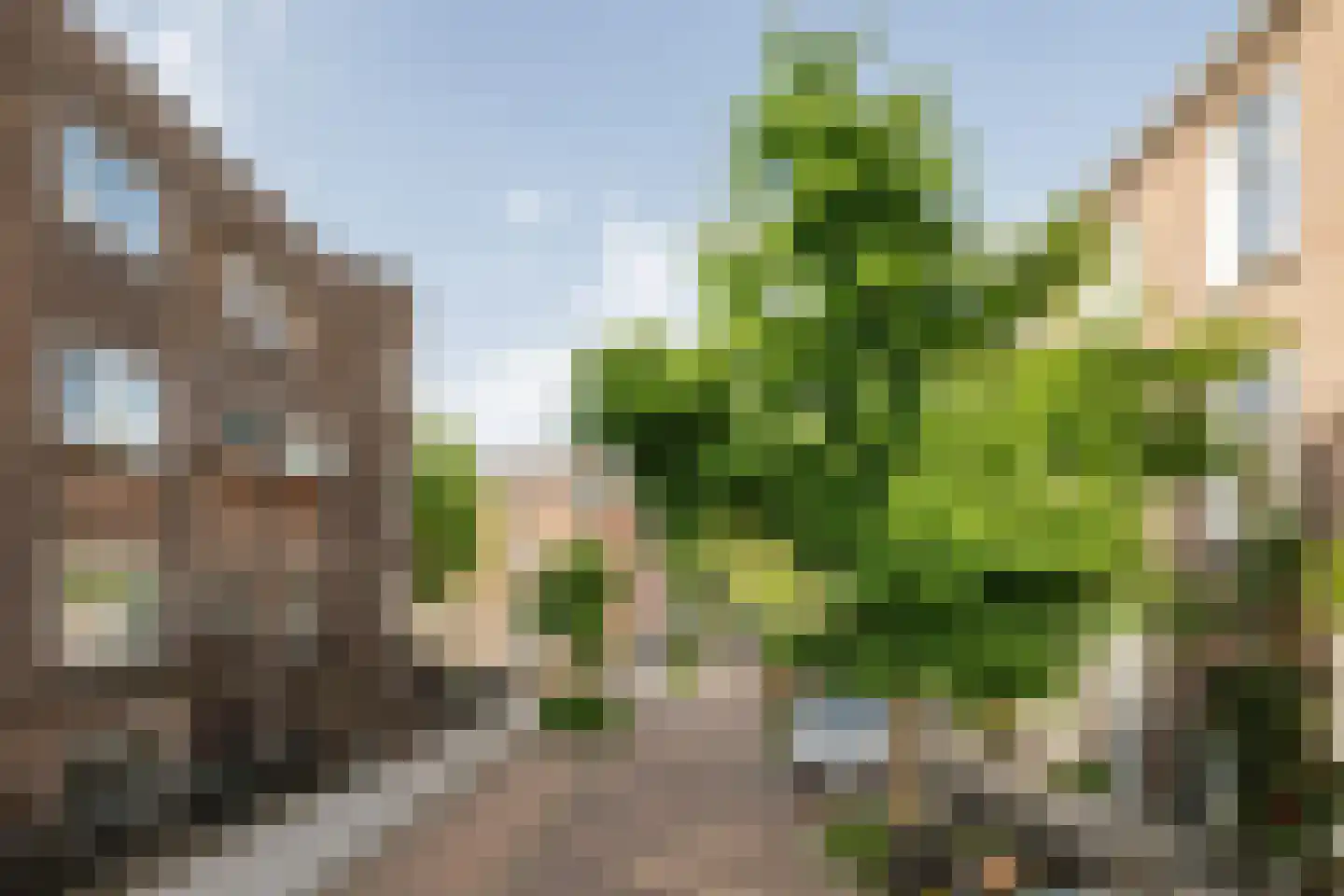 Van Brakelstraat 11 Utrecht thumbnail 4