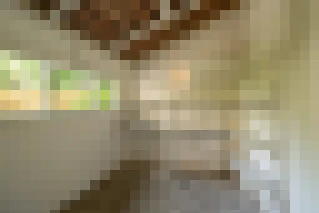 Van Brakelstraat 11 Utrecht thumbnail 44